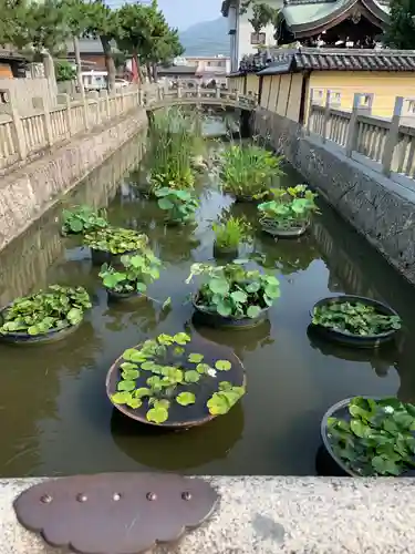 善通寺の庭園