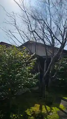 黄梅院(京都府)