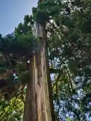 一乗寺(兵庫県)