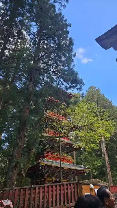 日光東照宮(栃木県)