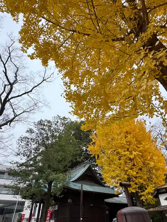 阿邪訶根神社(福島県)