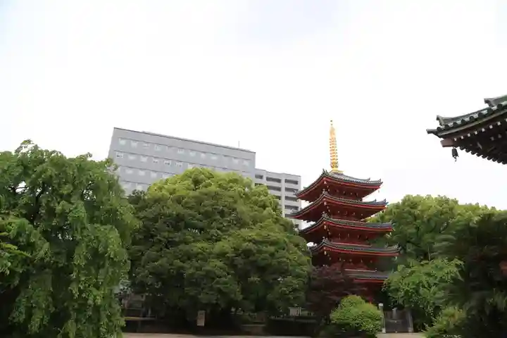 東長寺の塔