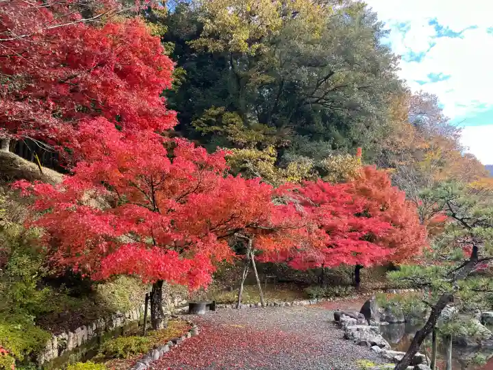 石道寺の{uncategorized: "未分類", other: "その他", undefined: "問題あり", building: "その他建物", grave: "お墓", sacred_gate: "鳥居", guardian: "狛犬", statue: "像", buddha: "仏像", history: "歴史", nature: "自然", garden: "庭園", animal: "動物", pagoda: "塔", temizu: "手水舎", mountain_gate: "山門・神門", sanctuary: "本殿・本堂", subordinate: "末社・摂社", art: "芸術", scenery: "景色", jizo: "地蔵", ema: "絵馬", goshuin: "御朱印", omikuji: "おみくじ", items: "授与品その他", amulet: "お守り", goshuincho: "御朱印帳", eats: "食事", festival: "お祭り", votive_dance: "神楽", shichigosan: "七五三参", wedding: "結婚式", experience: "体験その他", initially: "初詣", around: "周辺", anti_infection: "感染症対策"}