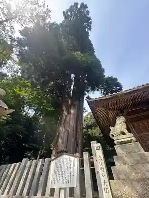 伊富岐神社(岐阜県)