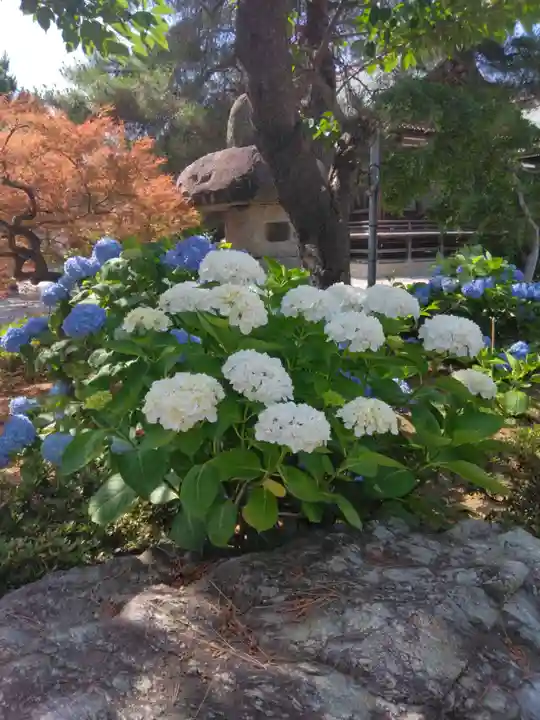 葛飾八幡宮(千葉県)