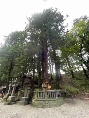 諏訪大社下社春宮(長野県)