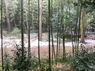 興禅寺の周辺