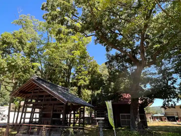 小玉川神社(長野県)