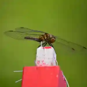 潮見ヶ岡神社(北海道)(2021年09月30日(木) 00時39分44秒投稿)