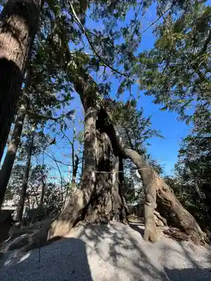 上野総社神社(群馬県)