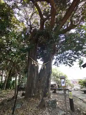 八景天祖神社(東京都)