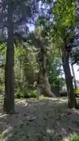 天満宮御旅所(滋賀県)