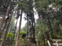 大宮温泉神社(栃木県)