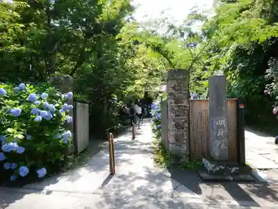 明月院(神奈川県)