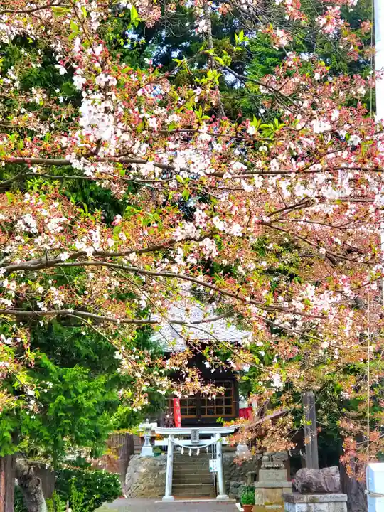 高司神社〜むすびの神の鎮まる社〜(福島県)
