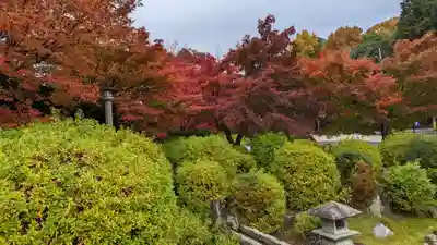 妙満寺(京都府)