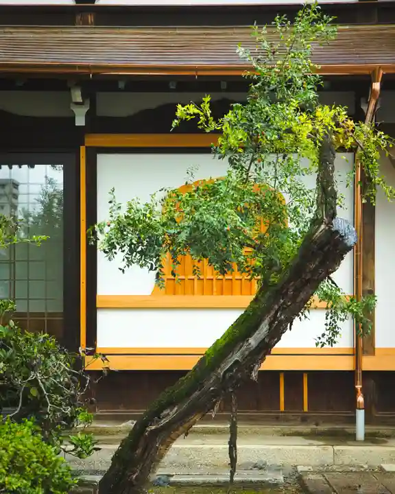 善徳寺(栃木県)