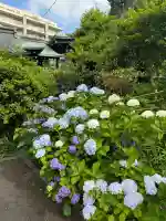 白金氷川神社(東京都)