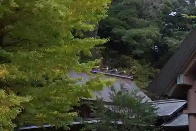 安房神社(千葉県)