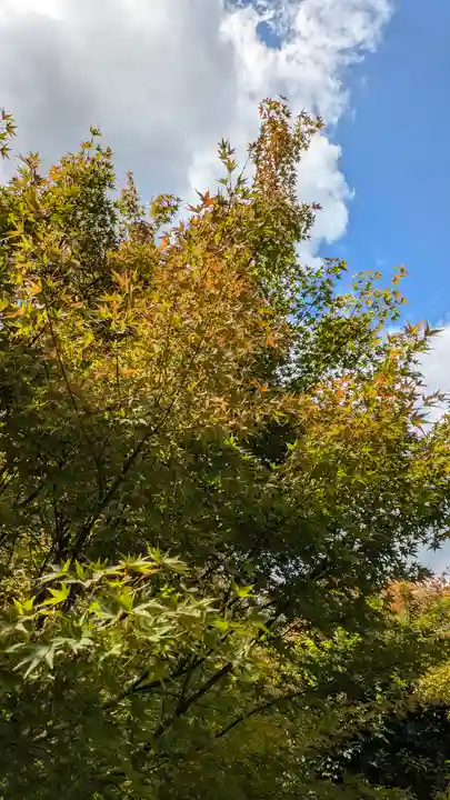 勝林寺(京都府)