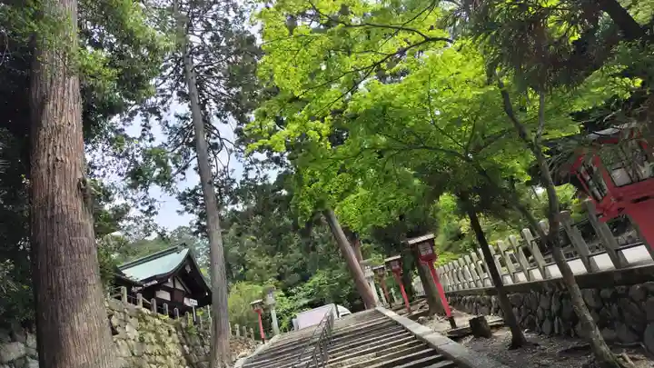 吉田神社(京都府)