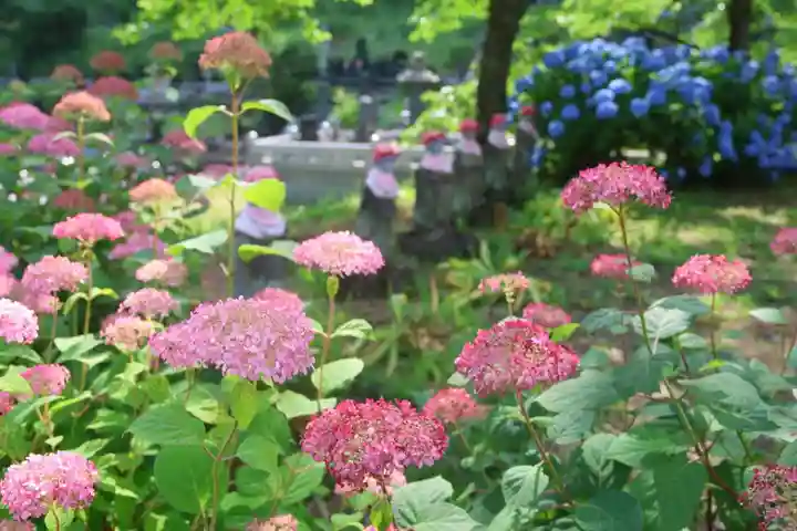 陽林寺(福島県)