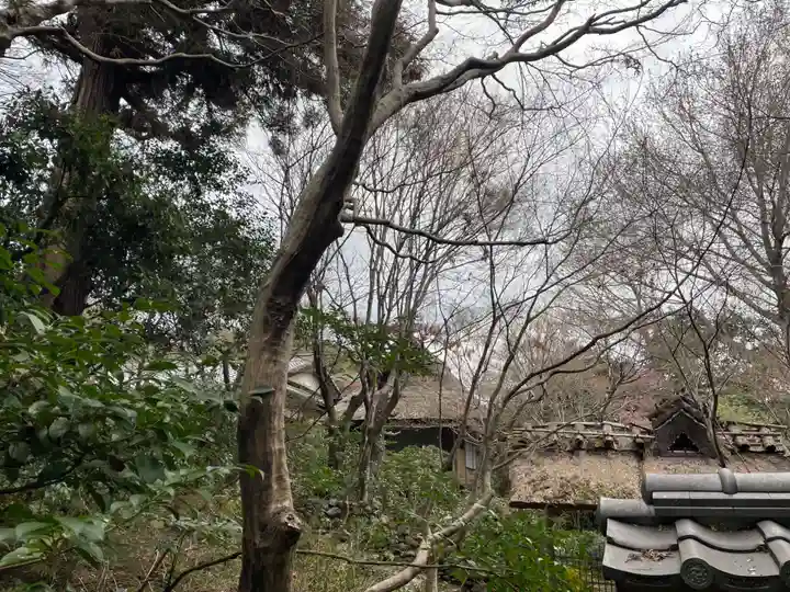 厭離庵(京都府)