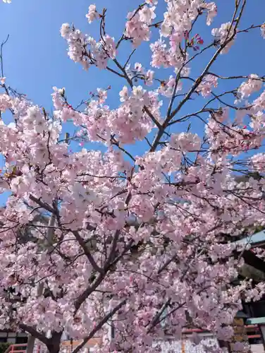 本牧神社(神奈川県)