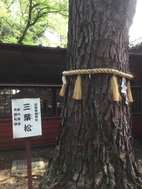 前原御嶽神社(千葉県)