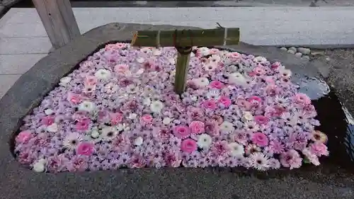 荘内神社の手水舎