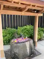 駒込妙義神社(東京都)