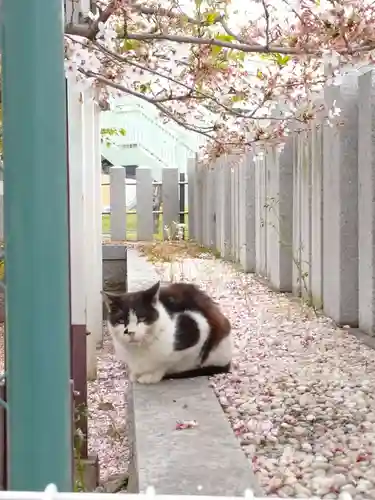 七宮神社(兵庫県)