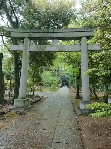 赤坂氷川神社の鳥居