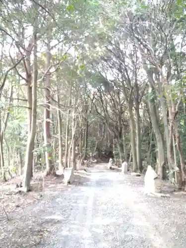 瑜伽山蓮台寺の自然