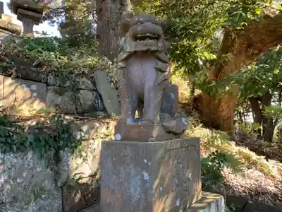 浅間神社の狛犬