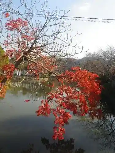 鶴岡八幡宮の自然