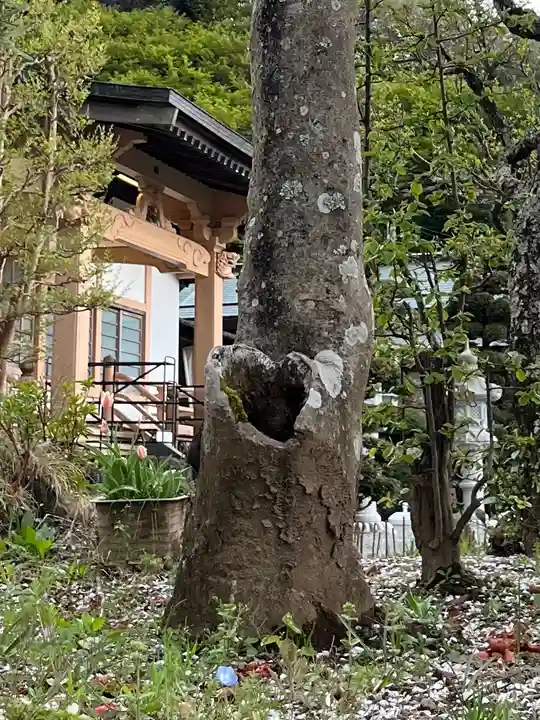 光明寺(静岡県)