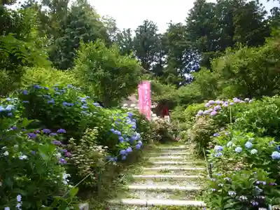 鷲子山上神社の自然