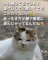 専念寺(大阪府)