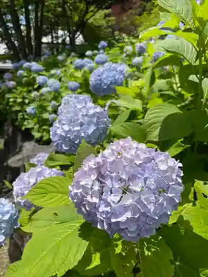 尊永寺(静岡県)