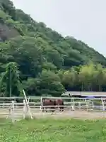 若都王子神社の動物