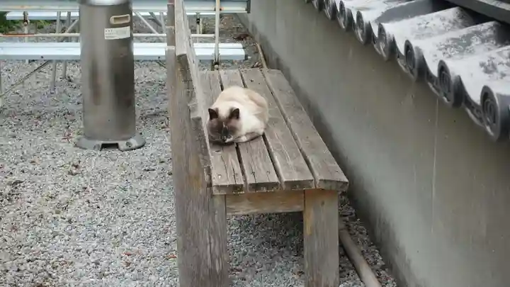 清滝寺(高知県)