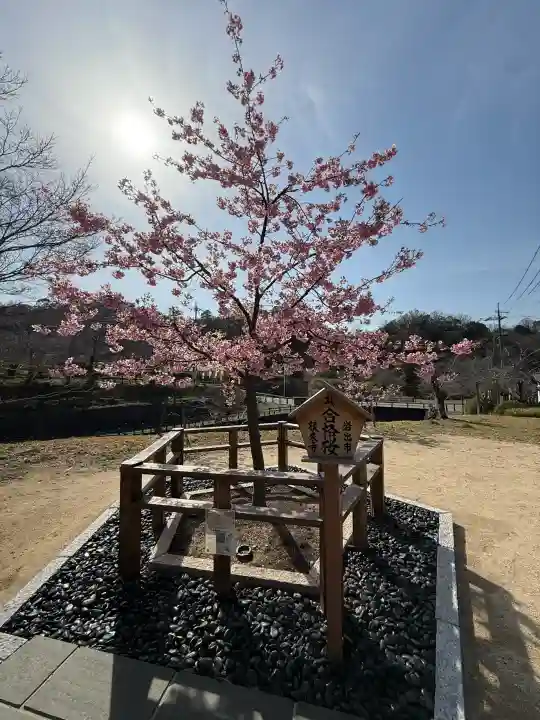 根来寺の{uncategorized: "未分類", other: "その他", undefined: "問題あり", building: "その他建物", grave: "お墓", sacred_gate: "鳥居", guardian: "狛犬", statue: "像", buddha: "仏像", history: "歴史", nature: "自然", garden: "庭園", animal: "動物", pagoda: "塔", temizu: "手水舎", mountain_gate: "山門・神門", sanctuary: "本殿・本堂", subordinate: "末社・摂社", art: "芸術", scenery: "景色", jizo: "地蔵", ema: "絵馬", goshuin: "御朱印", omikuji: "おみくじ", items: "授与品その他", amulet: "お守り", goshuincho: "御朱印帳", eats: "食事", festival: "お祭り", votive_dance: "神楽", shichigosan: "七五三参", wedding: "結婚式", experience: "体験その他", initially: "初詣", around: "周辺", anti_infection: "感染症対策"}