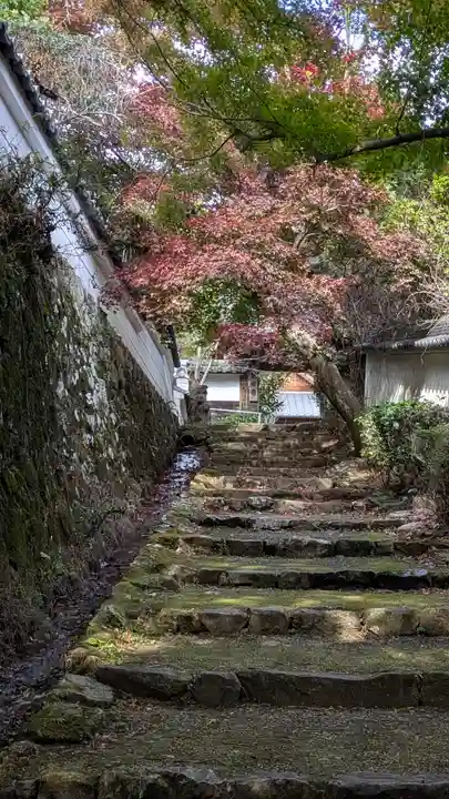 勝持寺(花の寺)(京都府)