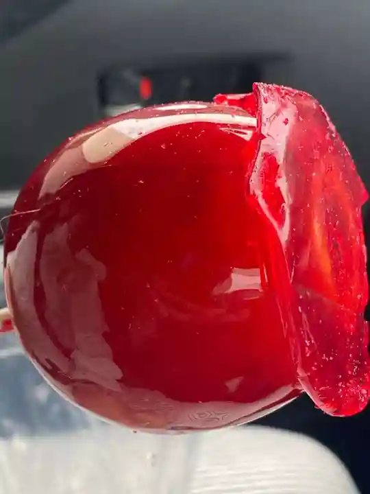 西宮八幡宮(山口県)