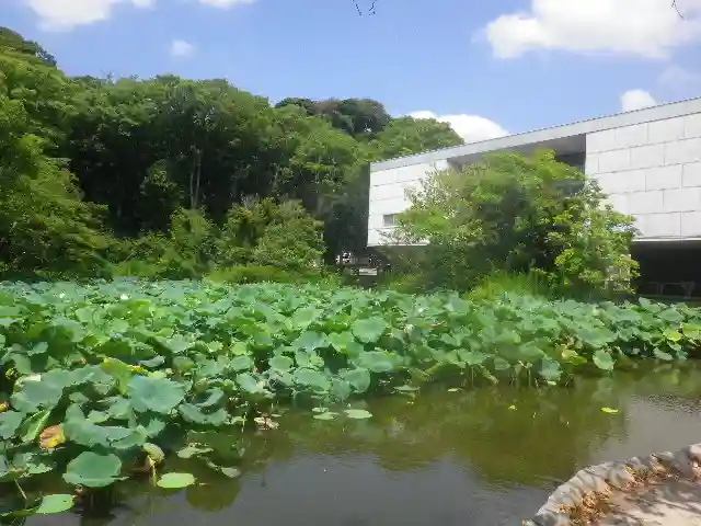 鶴岡八幡宮の庭園