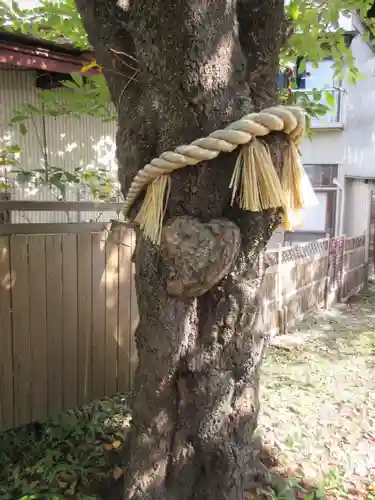 小室浅間神社のその他建物