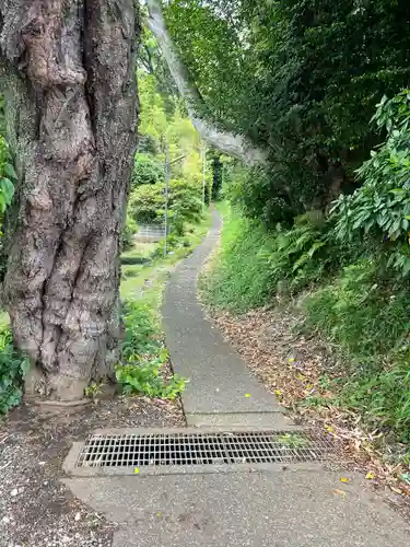 石楯尾神社(神奈川県)