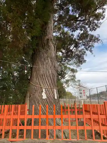 赤池神社(宮崎県)
