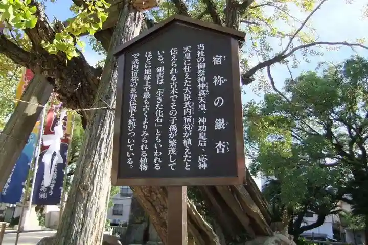 忌宮神社(山口県)